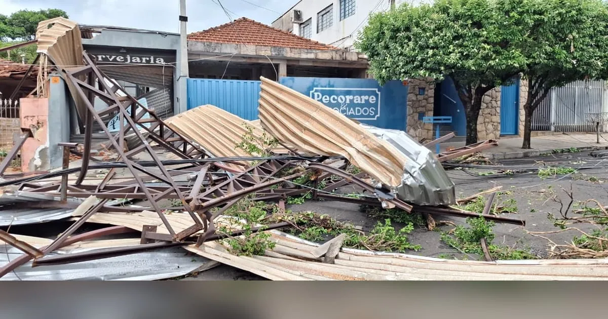 Equipe da Defesa Civil trabalhando após temporal em Matão
